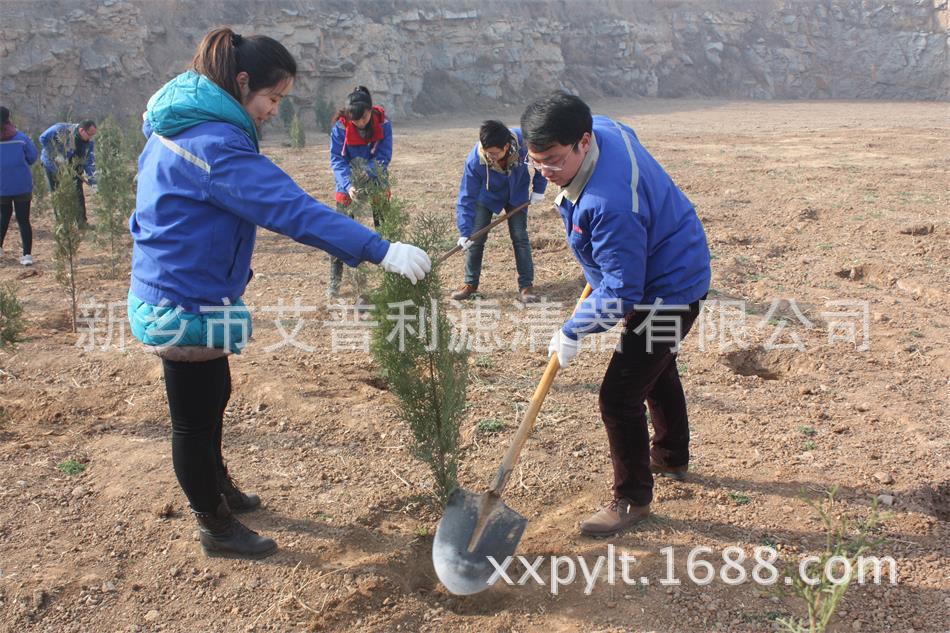 艾普利鳳凰山植樹，為美麗新鄉(xiāng)添新綠(圖2)